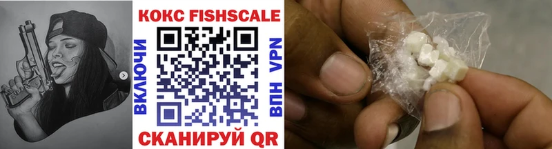 Купить закладки  Лебедянь  COCAIN FishScale 