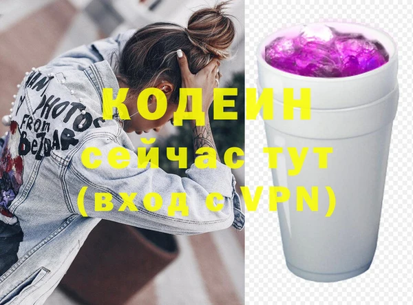 спиды Богородицк