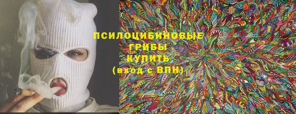 mdpv Белокуриха