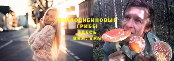 mdpv Белокуриха